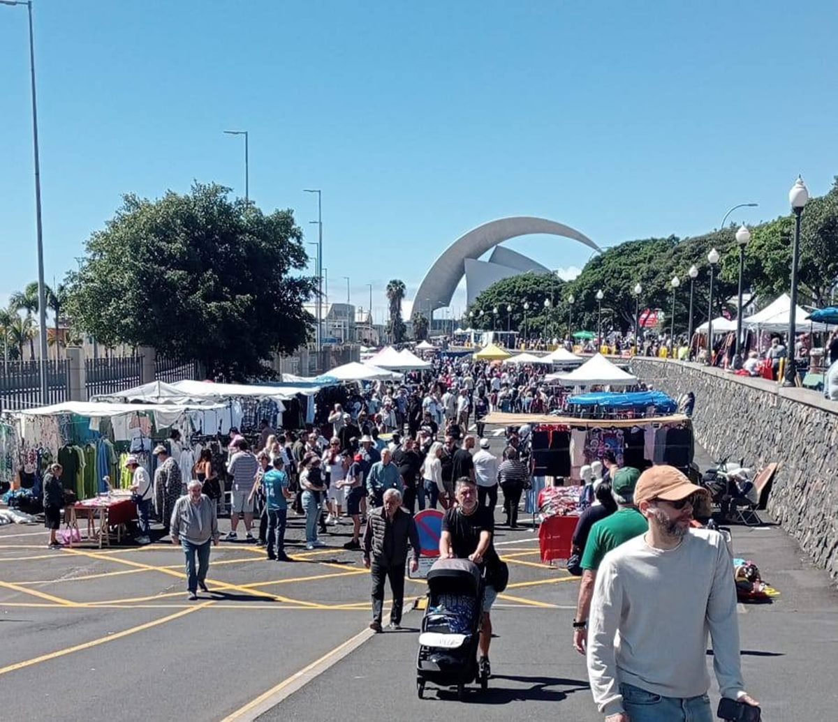 "Con cucarachas, el suelo mojado y al sol": las quejas de los vendedores del Rastro de Santa Cruz