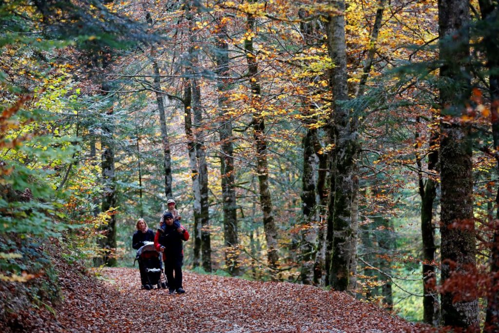 Vuelos directos de Canarias a Navarra con Binter