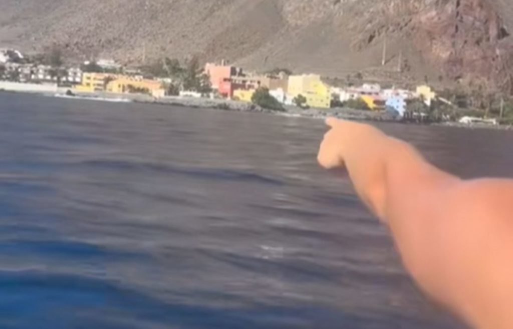 Dos jóvenes canarias ven la aleta de un animal marino desde su tabla y entran en pánico