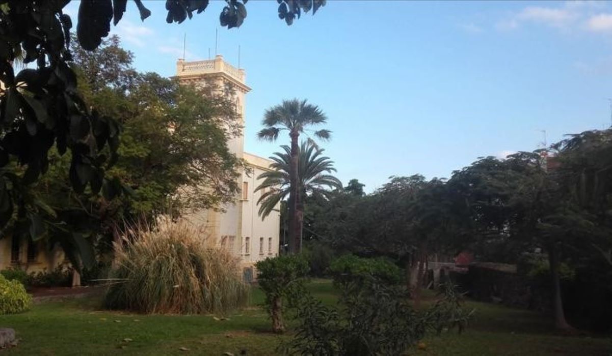 Estado de los jardines del parque Viera y Clavijo antes de comenzar las obras de rehabilitación. DA