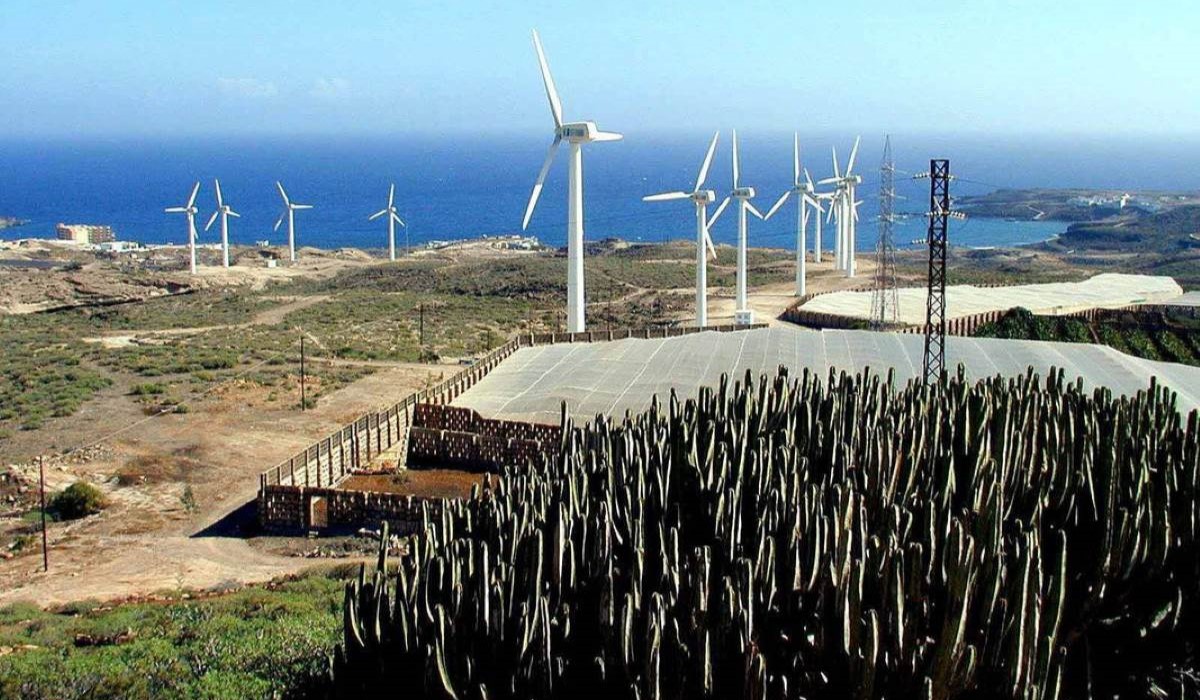 Dos nuevos proyectos renovables en el sureste de Tenerife reavivan el debate