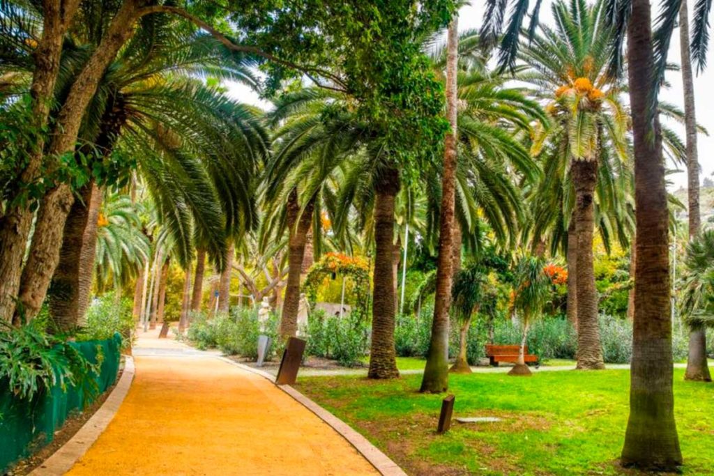 Santa Cruz de Tenerife impulsará 55 acciones para reducir las emisiones de CO2