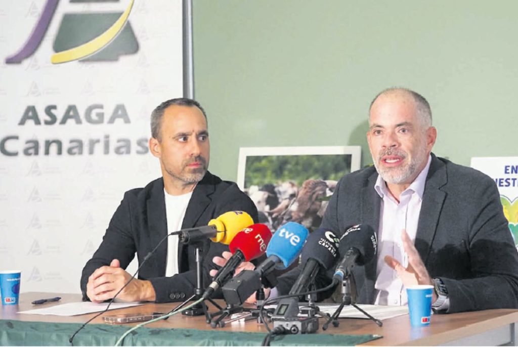Asaga y Asinca instan a resolverlos problemas operativos del puerto