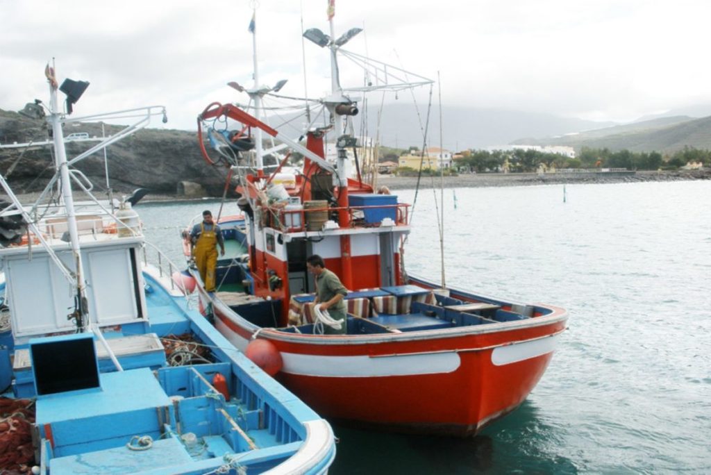 La campaña del atún rojo estará activa en Canarias hasta final de año. DA