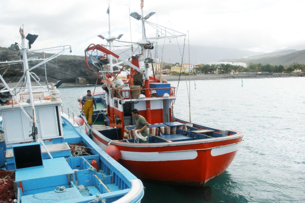 La campaña del atún rojo estará activa en Canarias hasta final de año. DA