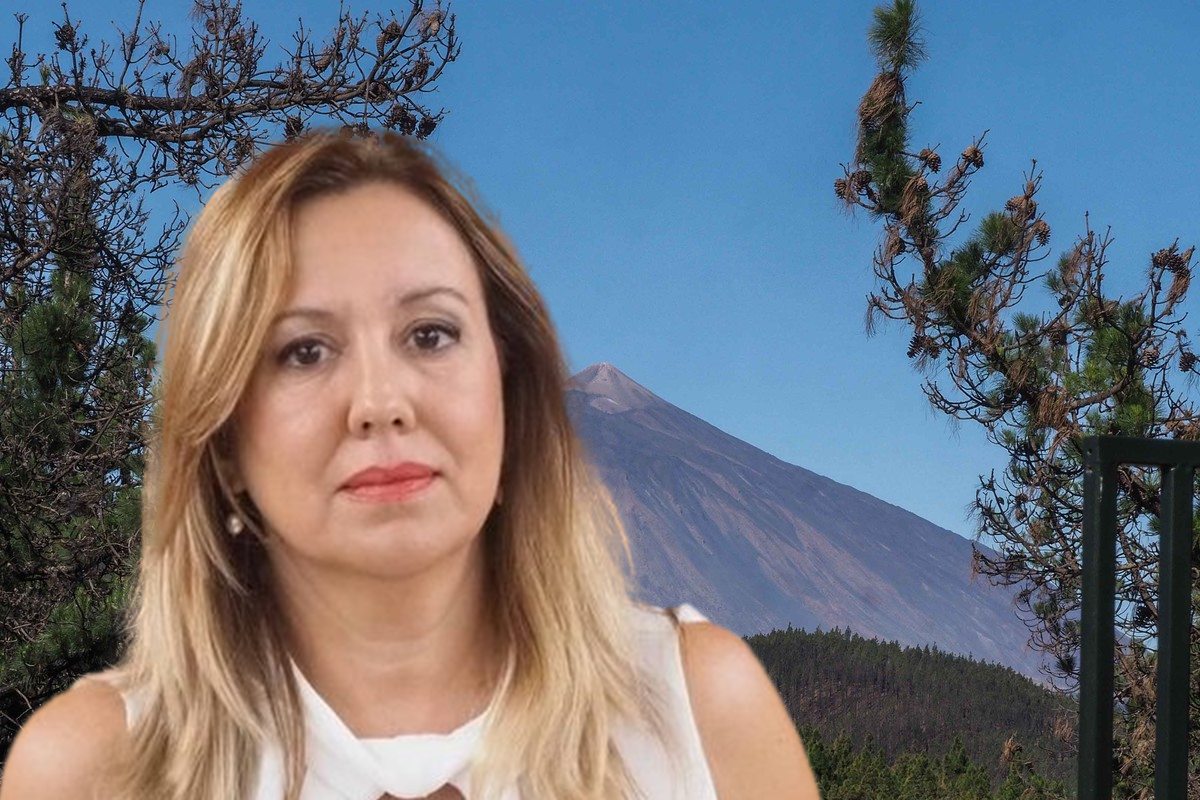 Rosa Dávila, alto y claro sobre el nuevo PRUG del Teide