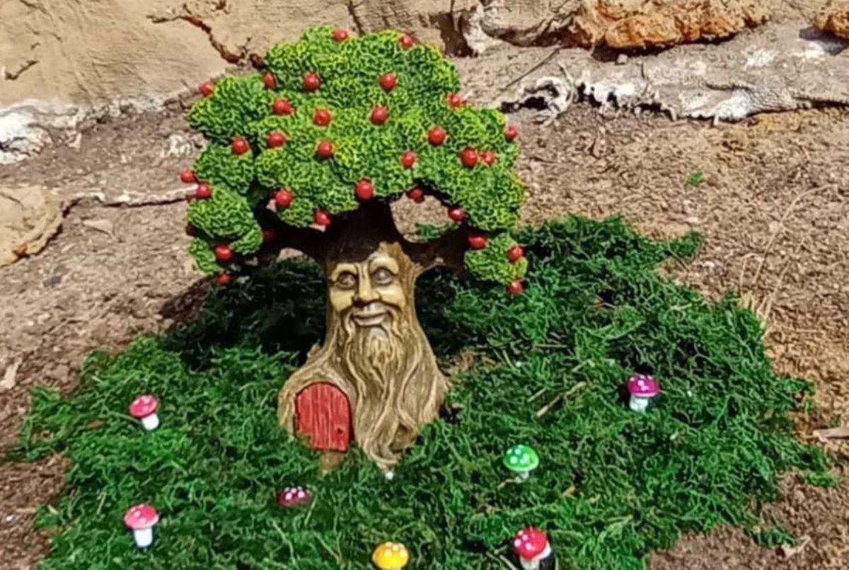 Los vecinos de San Andrés abren al público un mágico jardín de gnomos