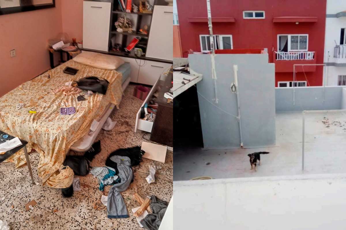 Santa Cruz de Tenerife aplica mano dura contra el maltrato animal