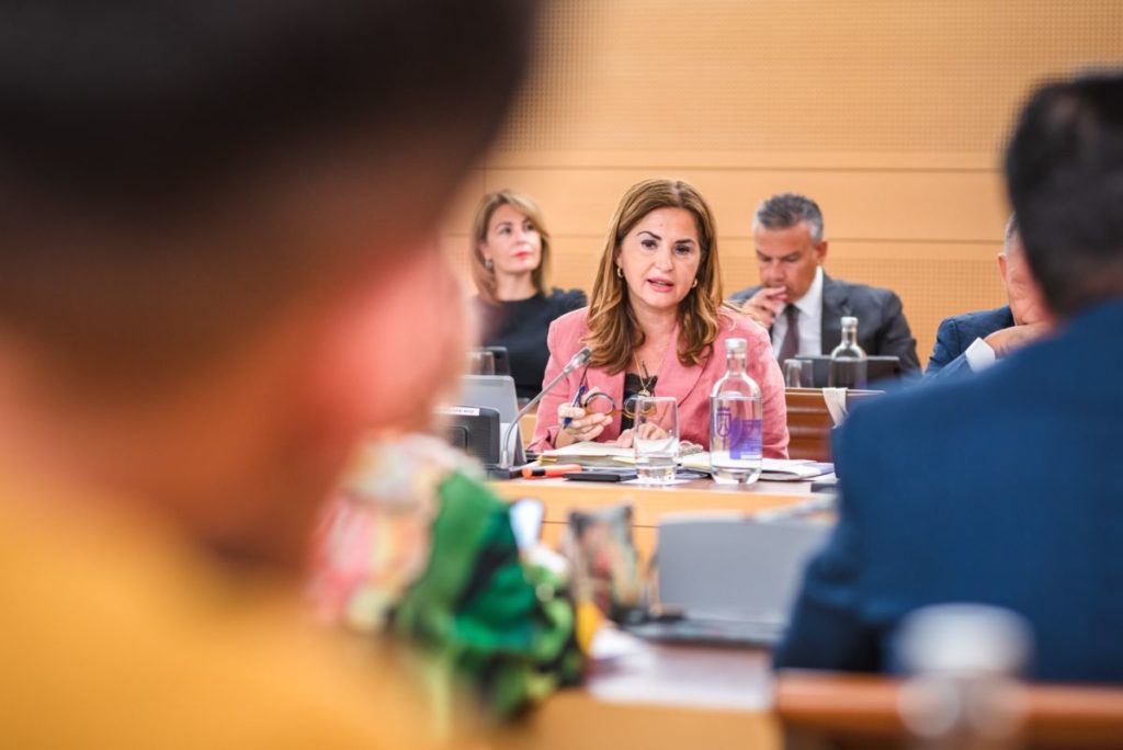 Águeda Fumero, consejera de Acción Social del Cabildo de Tenerife y responsable del IASS. EP