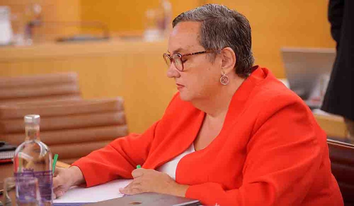 El PSOE pide responsabilidades por la situación de CAME Volcán