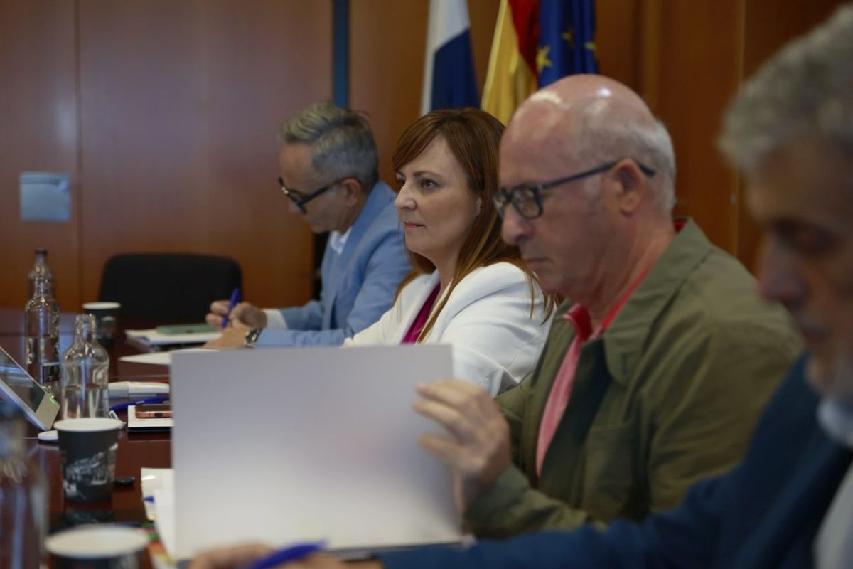 Una reunión de la Comisión de Memoria Histórica.