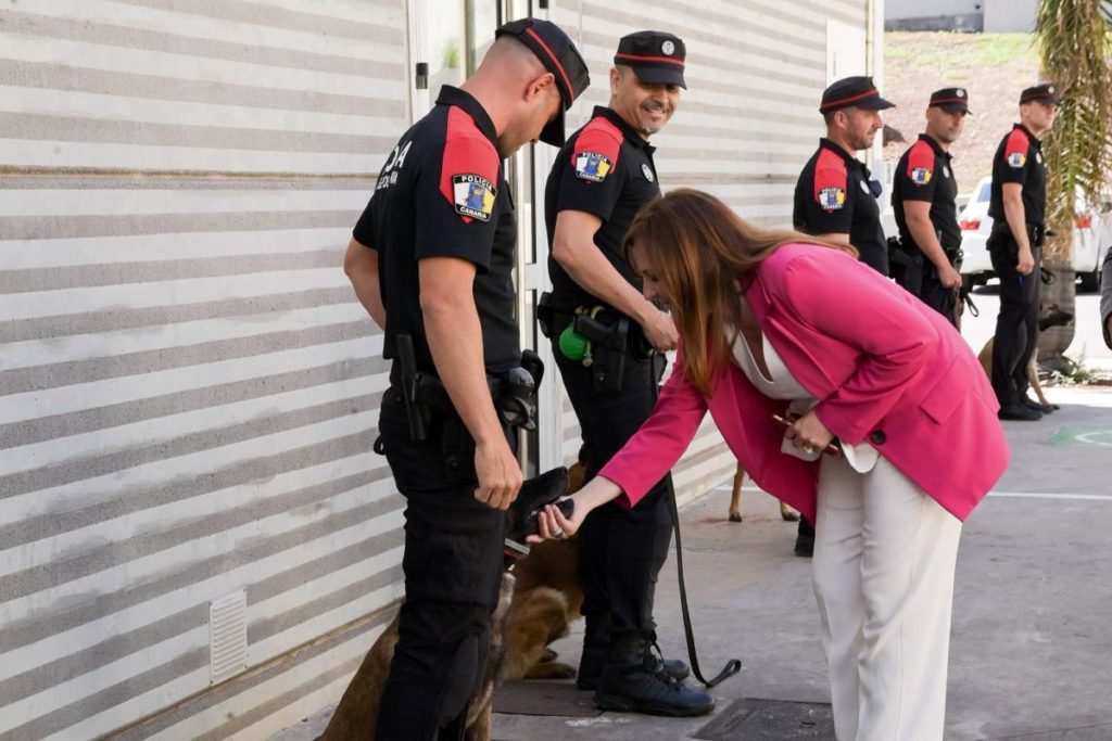 Los perros que velan por nuestra seguridad: así trabaja el Grupo de Guías Caninos de la Policía Canaria
