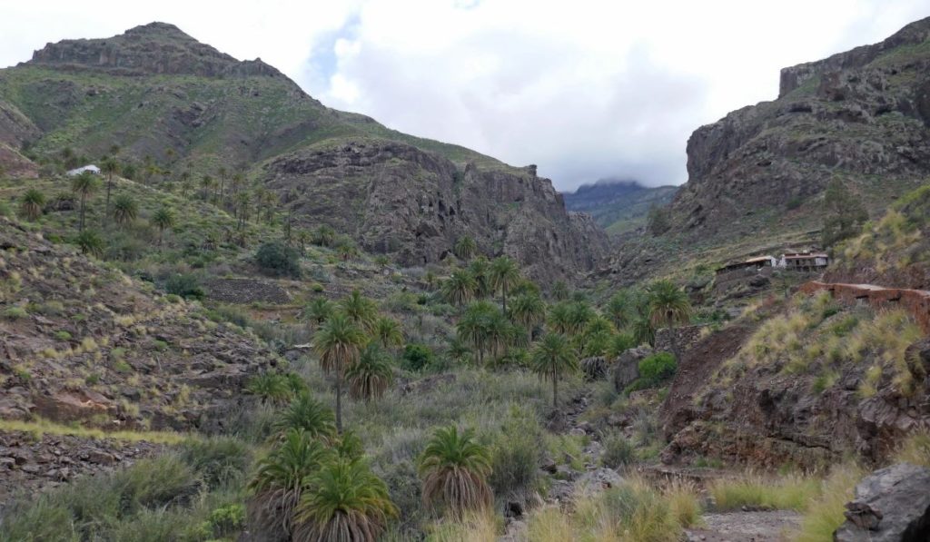 Todo lo que se sabe sobre el cadáver en un barranco de Canarias