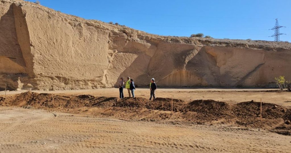 Un humedal artificial para la conservación de la biodiversidad en Fasnia