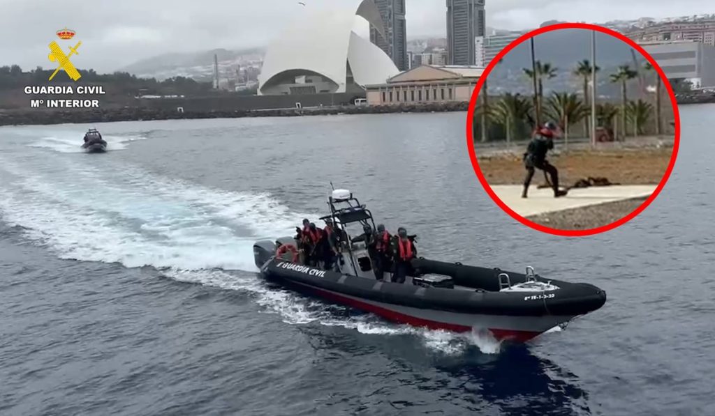 Susto y expectación entre vecinos de Santa Cruz de Tenerife: qué ha pasado en el puerto