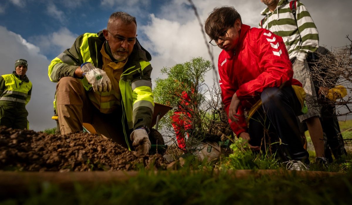 Un alumno colabora en la plantación de especies en Las Mesas. Fran Pallero