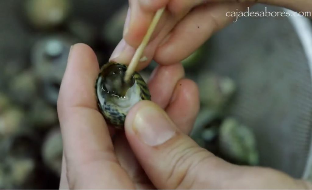Burgados: el manjar humilde del mar canario