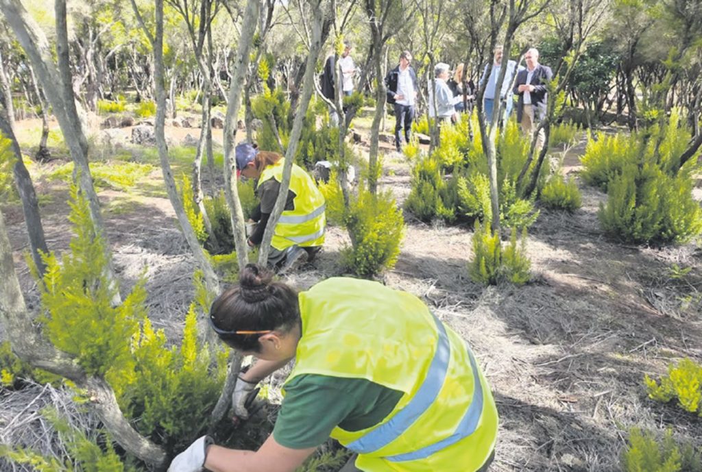 El Plan de Empleo Rural finaliza en la Mesa Mota y San Roque