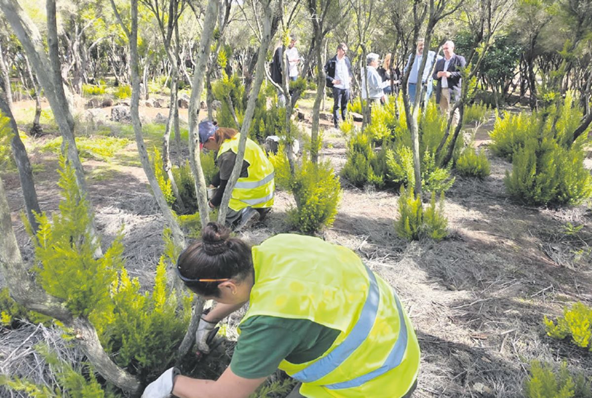 El Plan de Empleo Rural finaliza en la Mesa Mota y San Roque