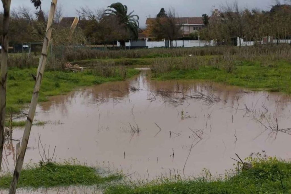 Las intensas lluvias dejan en la Vega Lagunera agua equivalente a 5.000 piscinas olímpicas. DA