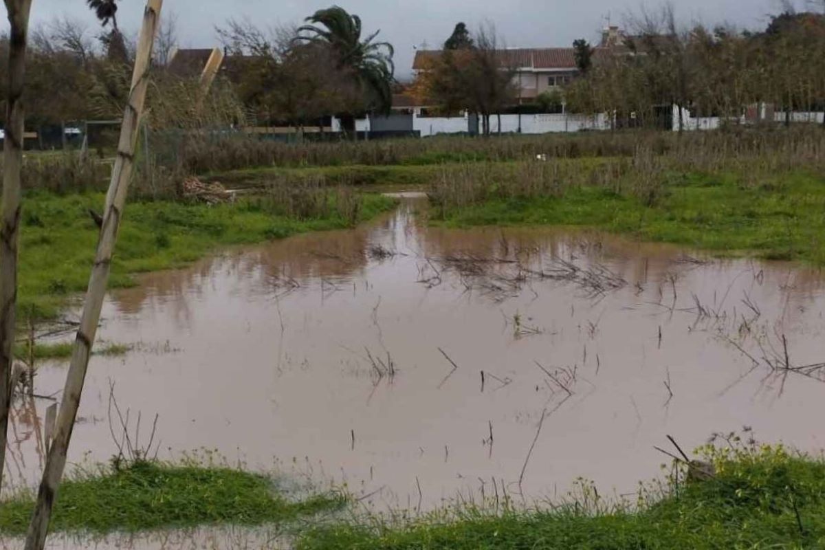 Las intensas lluvias dejan en la Vega Lagunera agua equivalente a 5.000 piscinas olímpicas. DA
