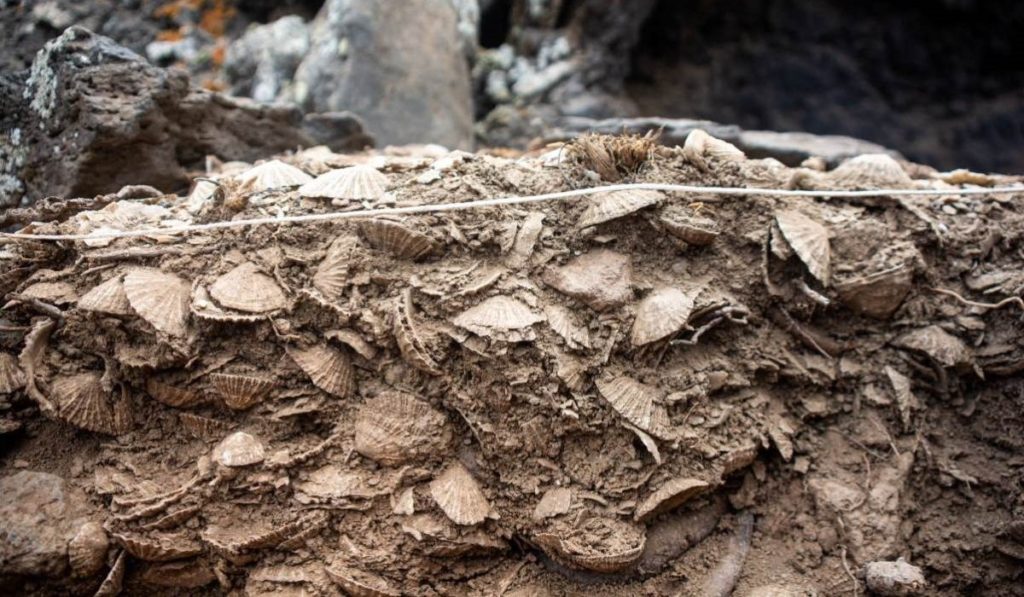Así vivían los guanches junto al mar: mil años de huella indígena en la costa de Tenerife