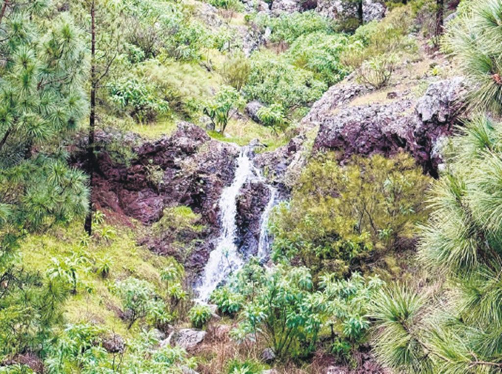 Las últimas borrascas pintan de verde todo el sur de Tenerife y reponen balsas y estanques