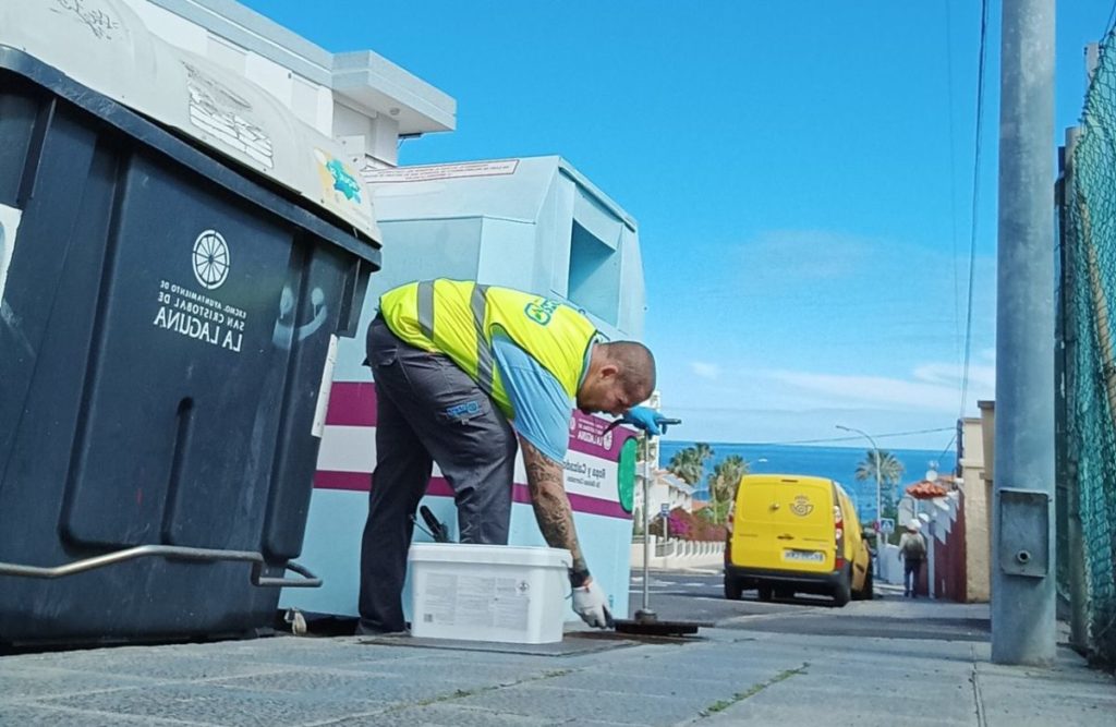 https://diariodeavisos.elespanol.com/2025/10/ratas-en-canarias-vivienda/