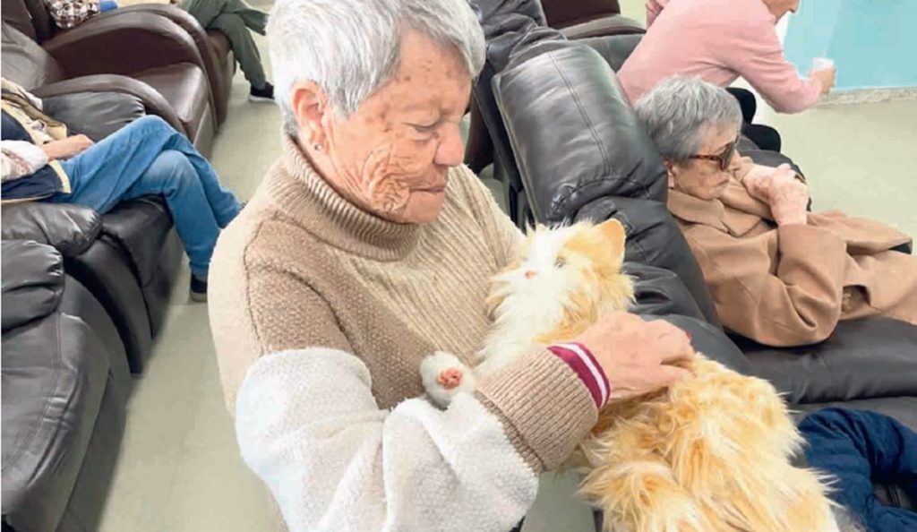 No es un gato real, pero ronronea: la nueva y sorprendente compañía de los mayores en La Laguna