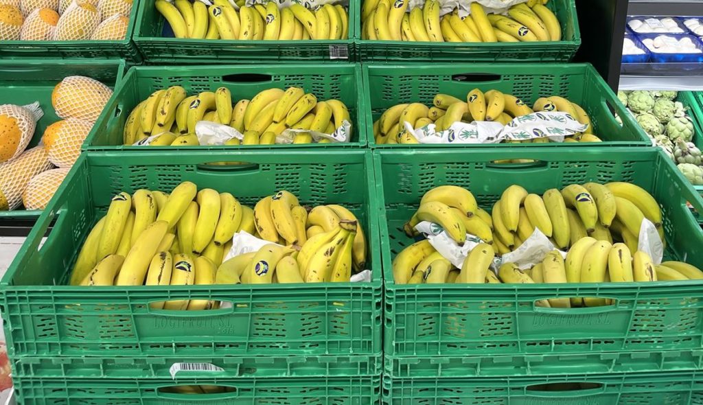 Mercadona compra 70 millones de kilos de Plátano de Canarias en 2025