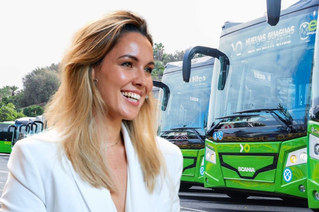 María Fernández, directora general de Transportes. Facebook