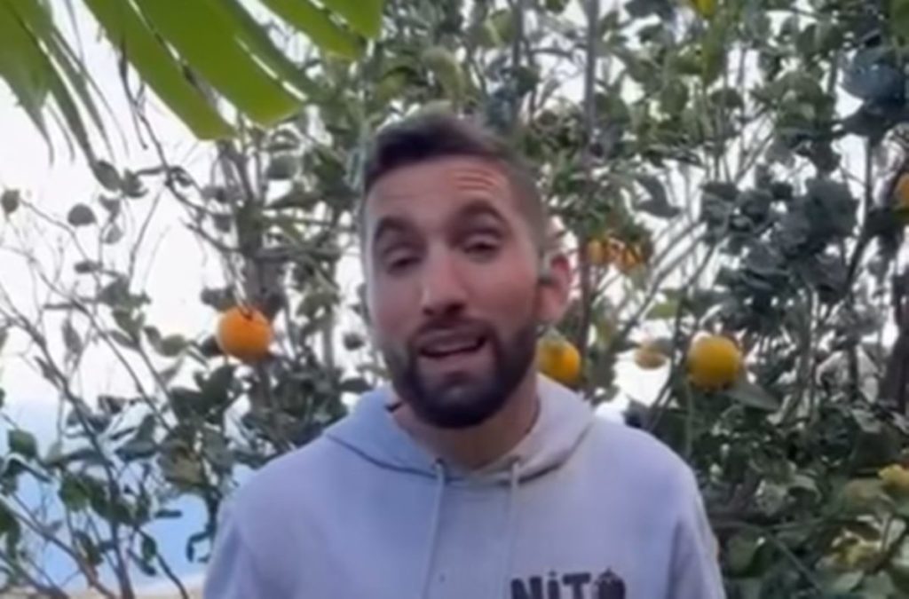 Nito pide ayuda para salvar 40.000 kilos de naranjas de La Palma