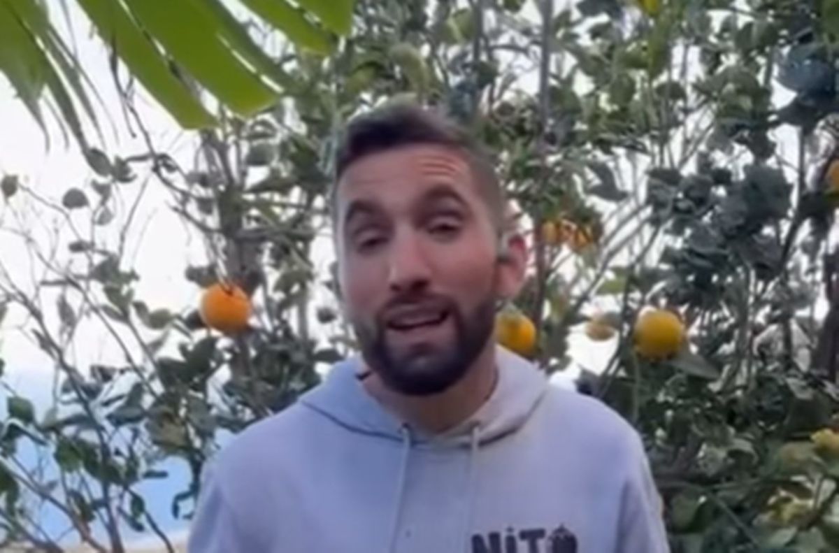 Nito pide ayuda para salvar 40.000 kilos de naranjas de La Palma