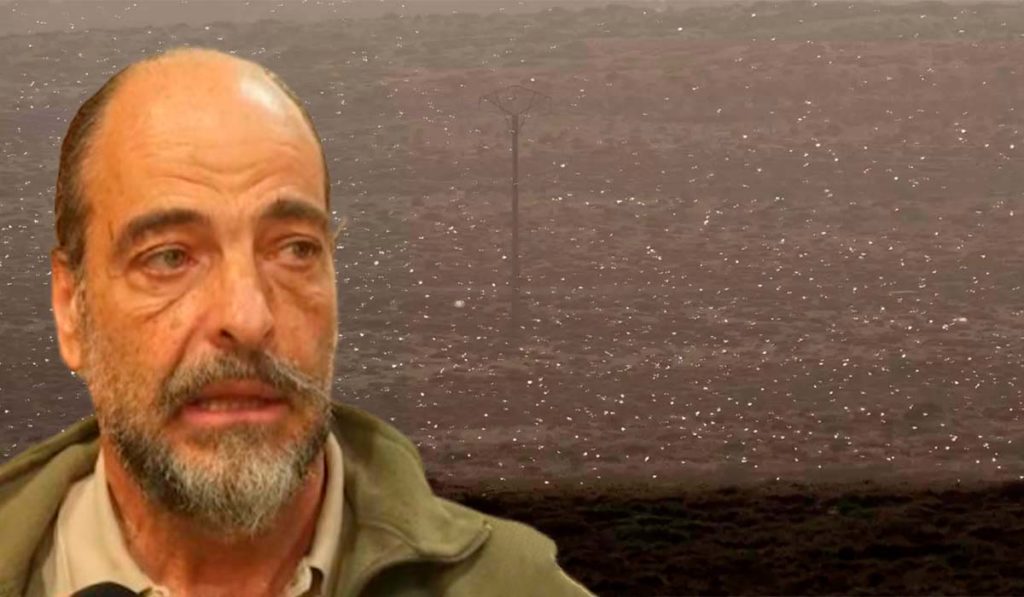 Francisco Fabelo, jefe de Medio Ambiente de Lanzarote, sobre las langostas: “Habría que dar cañonazos con lanzallamas si llegan más enjambres”