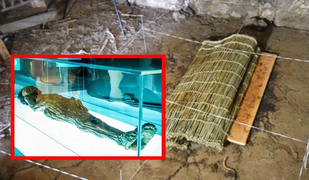 55.000 insectos y un cadáver en la oscuridad: el secreto de las momias canarias no es el que siempre nos contaron
