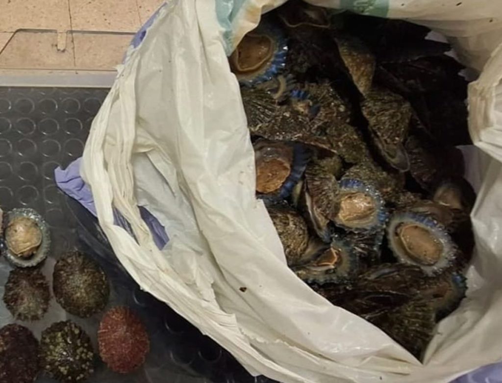 Ni el neopreno ni la barca lo salvaron: pillan a un hombre con 7 kilos de lapa negra en la escollera de Las Teresitas