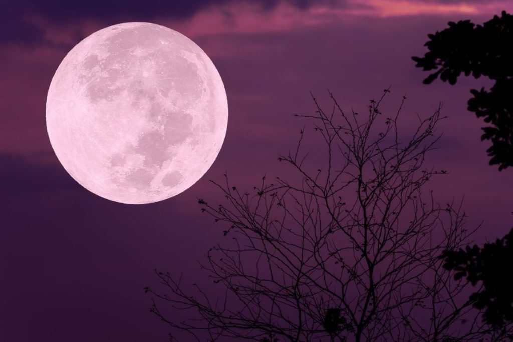 Luna Rosa 2026 en Canarias: cuándo y cómo ver el espectáculo en Semana Santa