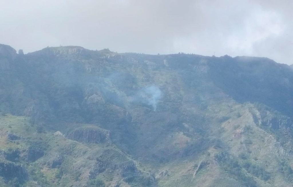 Trabajan en la extinción de un conato de incendio en la cuenca de Chejelipes, en San Sebastián de La Gomera