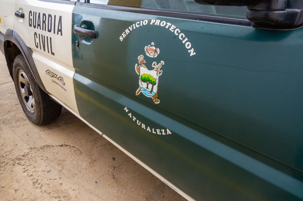 Horror en Gran Canaria: investigan a un hombre tras morir su perro encadenado y a la intemperie durante el temporal