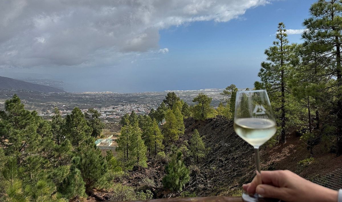 Un vino de Tenerife elegido como el mejor de España: la joya de Arafo que ha enamorado a los expertos