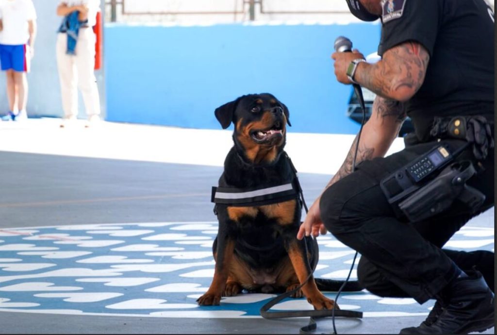 El inesperado gesto de un perro de la Policía de Santa Cruz que terminó con un arresto masivo de droga