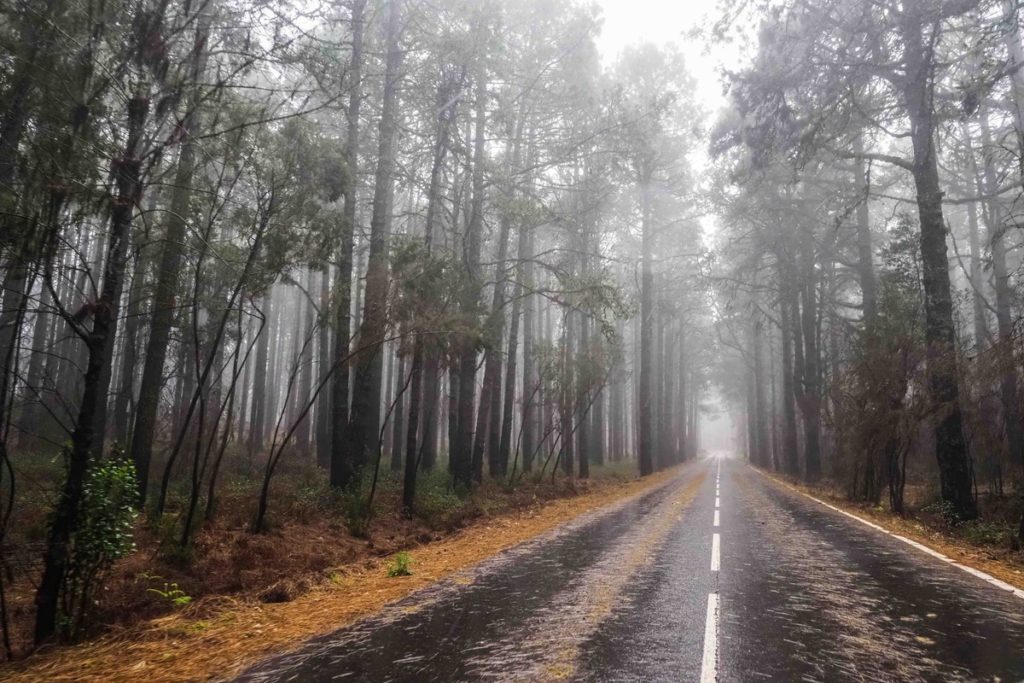 Los accesos al Teide permanecen cerrados al tráfico ante la previsión de nevadas por encima de la cota de los 1.800 metros. | Sergio Méndez