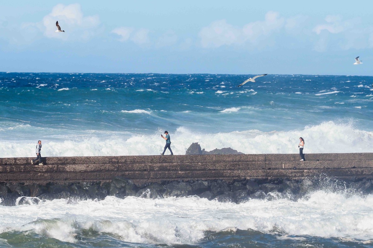 La Aemet advierte de peligro importante en Canarias por tormentas, lluvias de 100 litros y vientos huracanados por la borrasca Therese: ¿qué zonas serán las más afectadas este viernes?