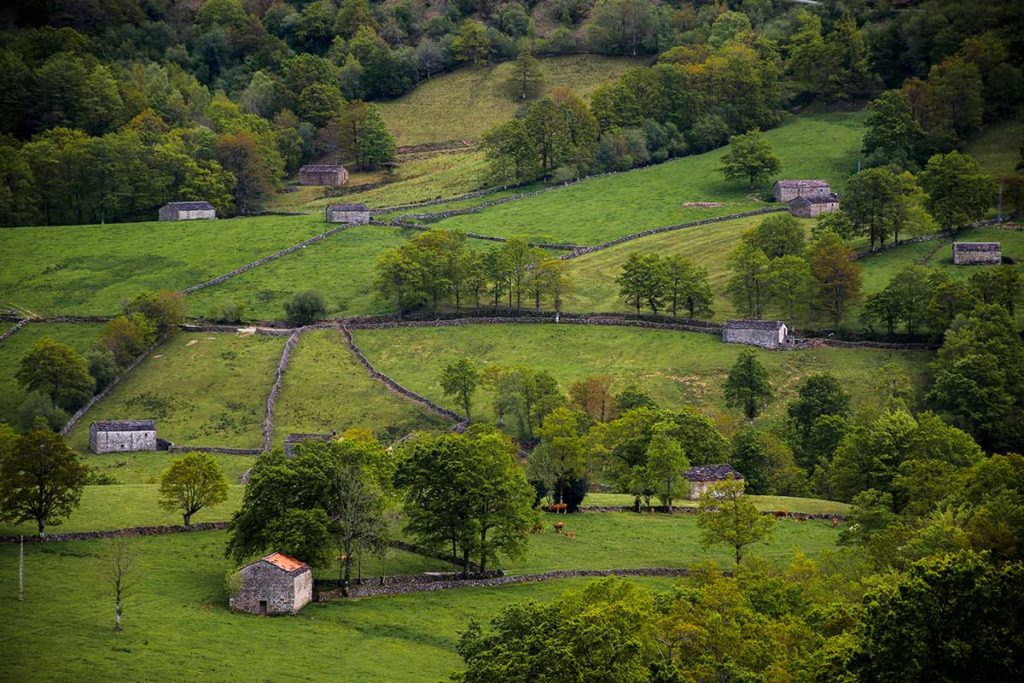 Santander, naturaleza y cultura se rinden al viajero canario - Binter