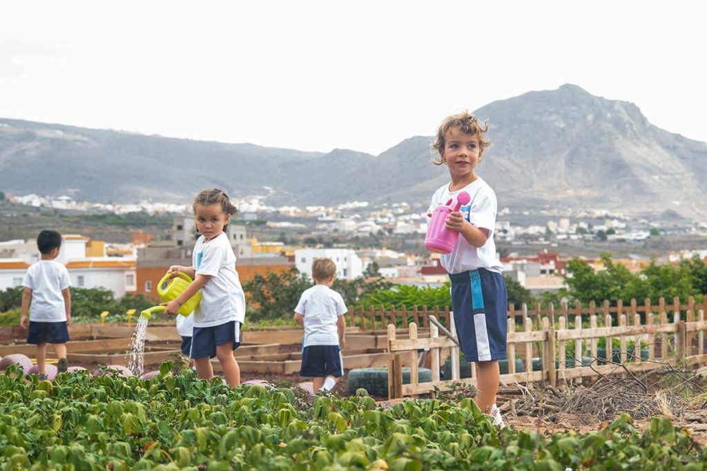 Un colegio de Tenerife entre los mejores del mundo