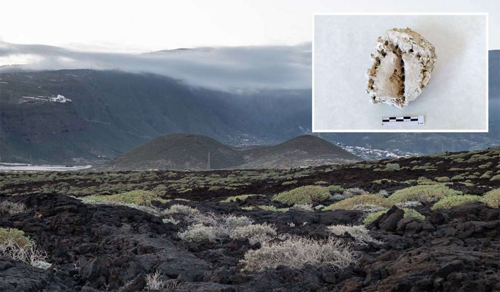 Hallan un insólito "tesoro" vegetal de 312.000 años en un volcán de Tenerife que solo tiene un precedente en el mundo