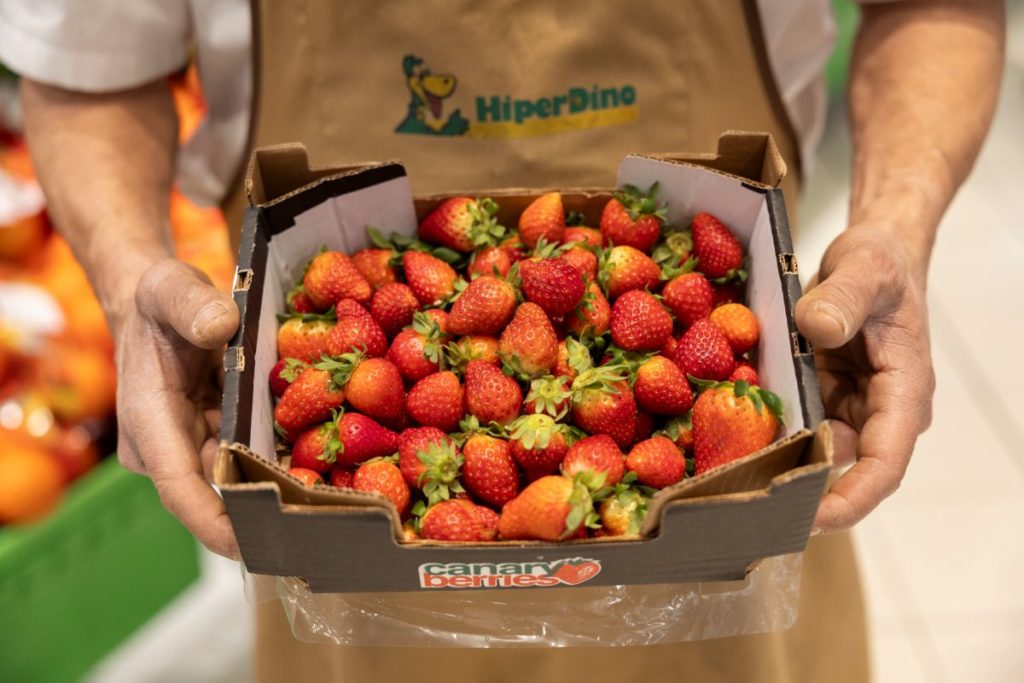 HiperDino comercializa 800.000 kg de fresa: la fruta de temporada al mejor precio y rica en vitaminas y sabor