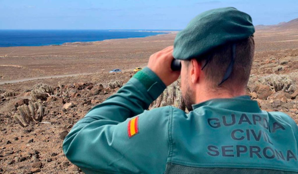 Matan a golpes en Canarias a 7 aves de una especie vulnerable y bajo protección especial. DA