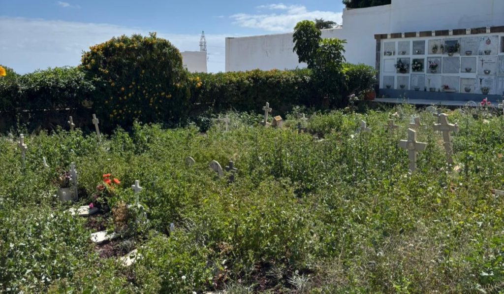 Los cementerios de Santa Lastenia y Taganana, en estado crítico por falta de dinero