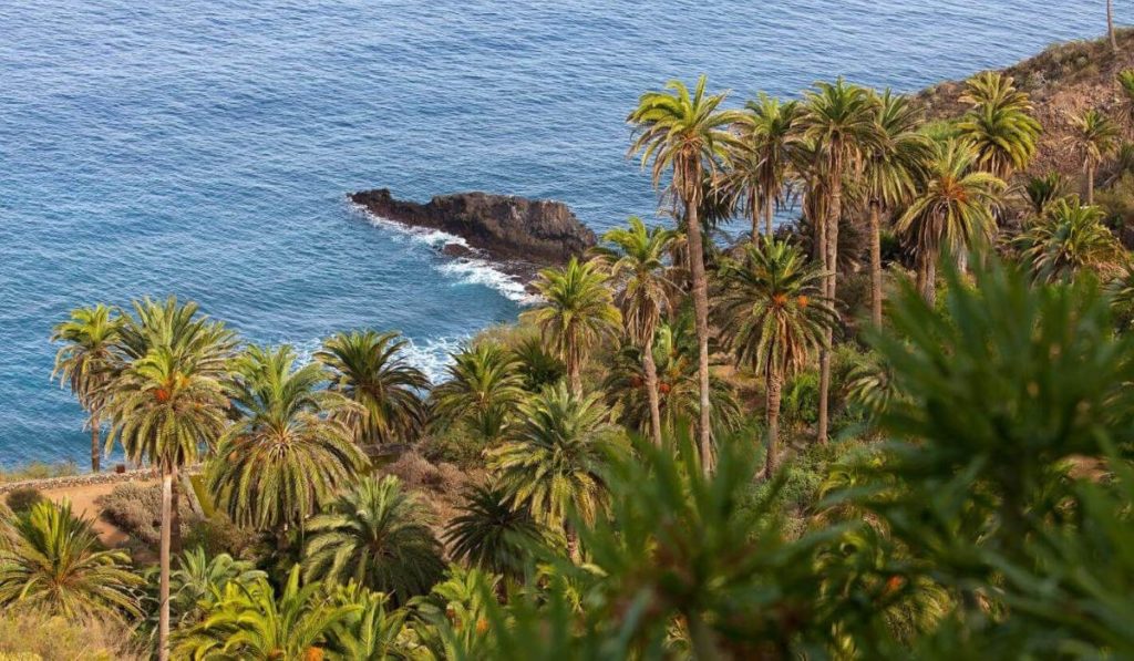 Denuncian 'amenazas' para el Paisaje Protegido de la Rambla de Castro